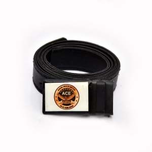 The ACE School System - Belt