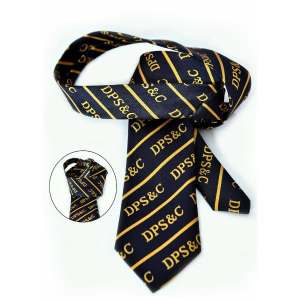 Divisional Public school - Tie
