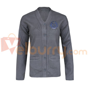 Punjab Worker Welfare School - Jersey For Girls