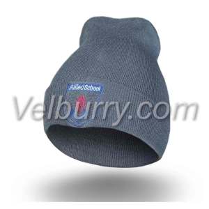 Allied School - Winter Cap